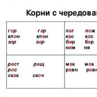 Εγχειρίδιο ρωσικής γλώσσας